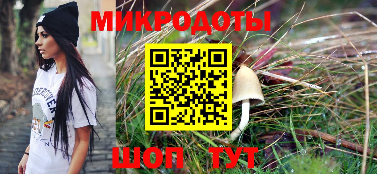 Полевской  Галлюциногенные грибы Psilocybe  Вход с VPN 